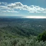 Hotel Sant Roc
